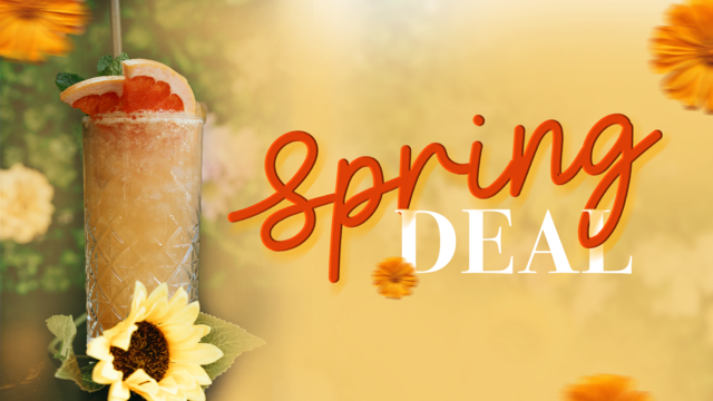 Visuel spring deal