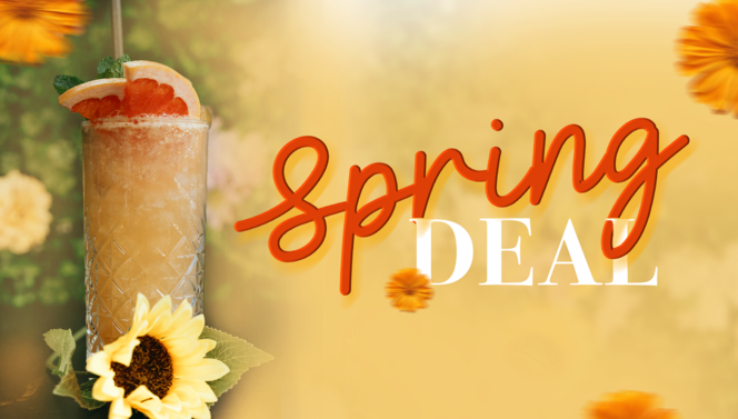 Visuel spring deal