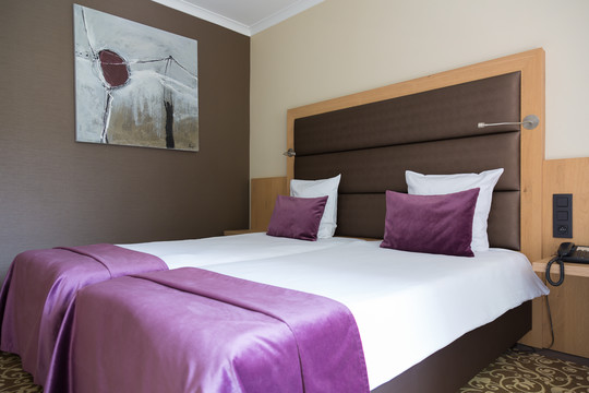 Chambre Twin supérieure avec lits jumeaux, décorée avec goût et équipée pour un confort optimal.